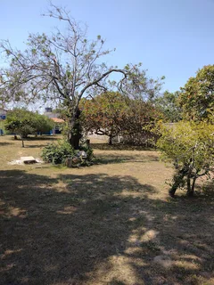 Photo Prefeitura Municipal de Nova Viçosa